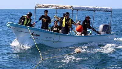 Lucio Conti salva balene