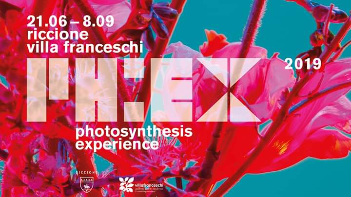Mostra PHOTOSYNTHESIS EXPERIENCE