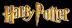 Raduno "Harry Potter Never Ends"
