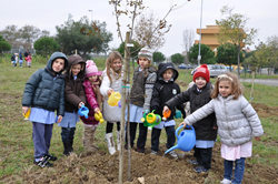 "Un albero per amico": il Lions Club Riccione sostiene un progetto di educazione ambientale per i ragazzi delle Scuole elementari